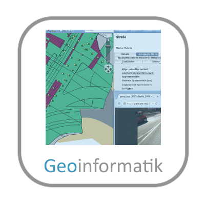 Geoinformatik