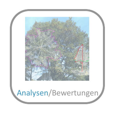 Analysen/Bewertungen